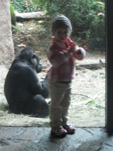 Madeline watching the Gorillas October 2012