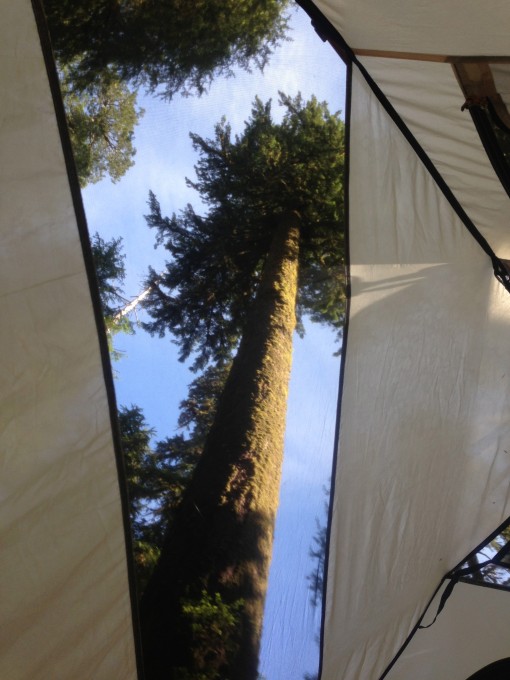 The view from inside our tent