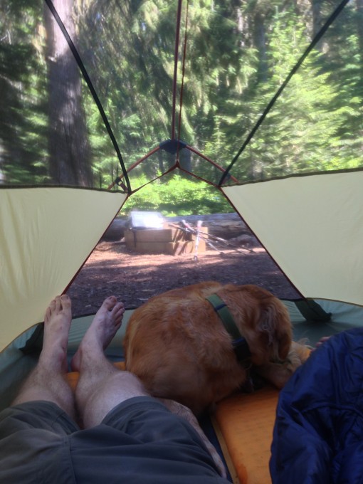 Afternoon nap in the tent