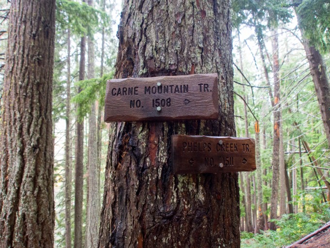 First trail junction - turn off to Carne Mountain