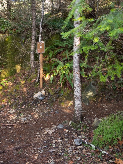 Second and final trail junction