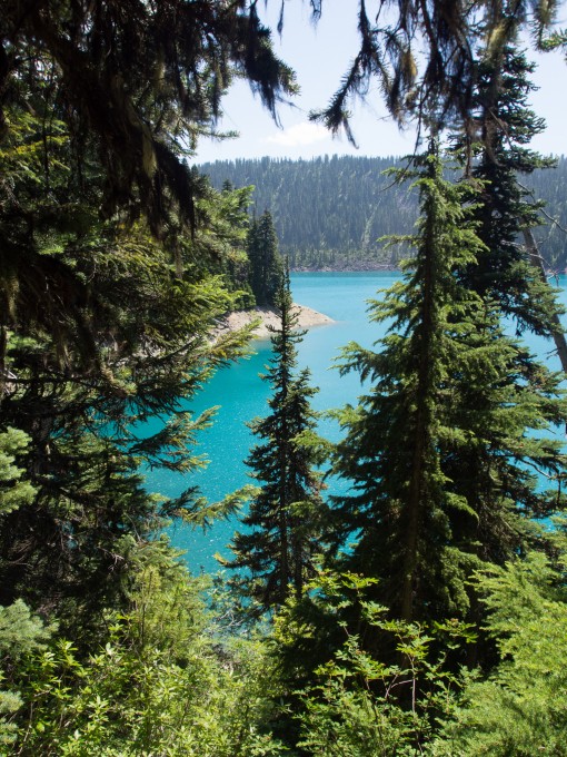 Lesser Garibaldi Lake was only visible through the trees. It was beautiful though!