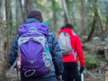 What’s in Our Day Pack For Hikes With Babies and Toddlers?