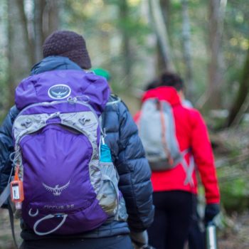 What’s in Our Day Pack For Hikes With Babies and Toddlers?