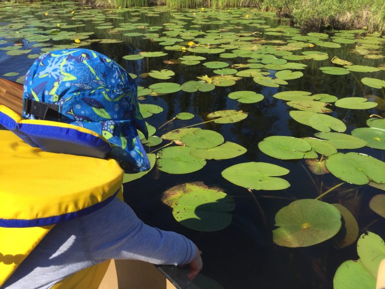 Canoeing with Babies The Basics We Found Adventure