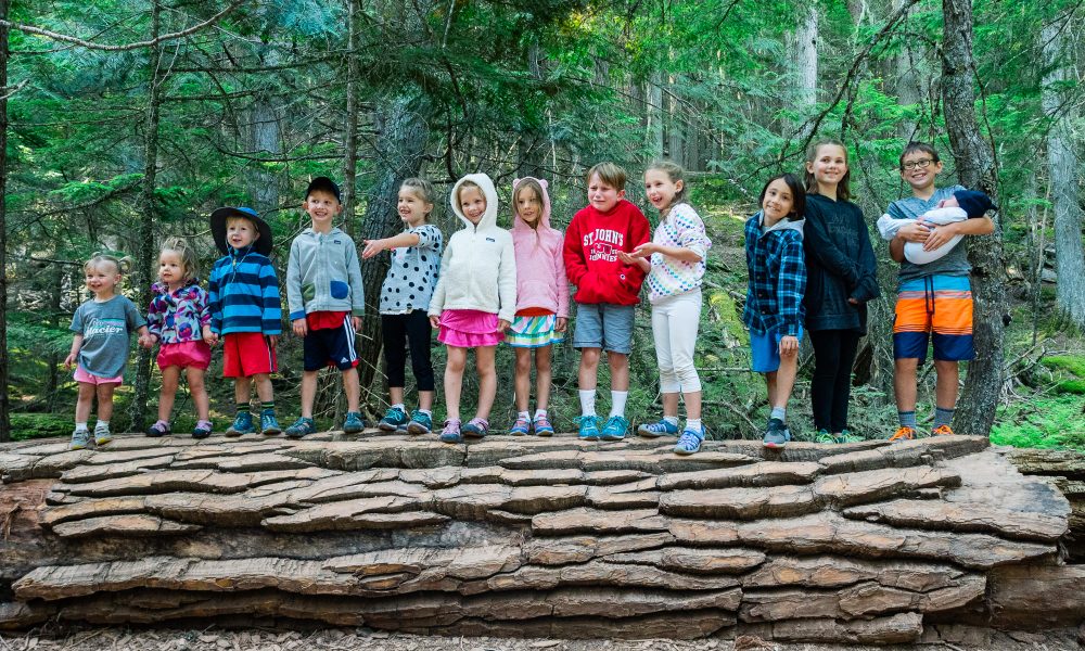 Hiking Glacier National Park with Toddlers