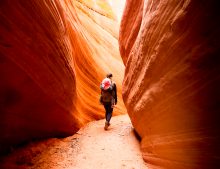 Seven Top Hikes in Southern Utah with Kids