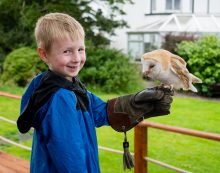 Dingle, Ireland with Kids