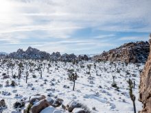 Climbing Joshua Tree National Park with Kids